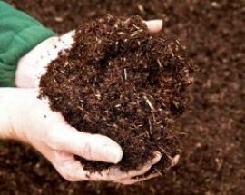 Dự thảo NĐ mới về quản lý phân bón: Sẽ không còn “phân bón khác”